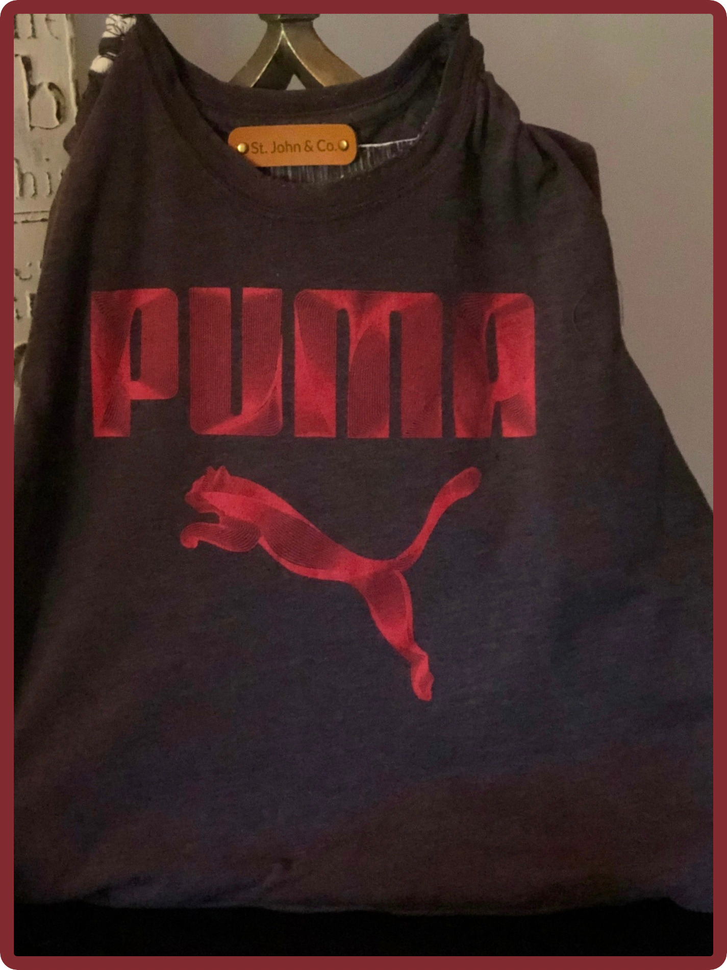 ๐พ PUMA in the Wild