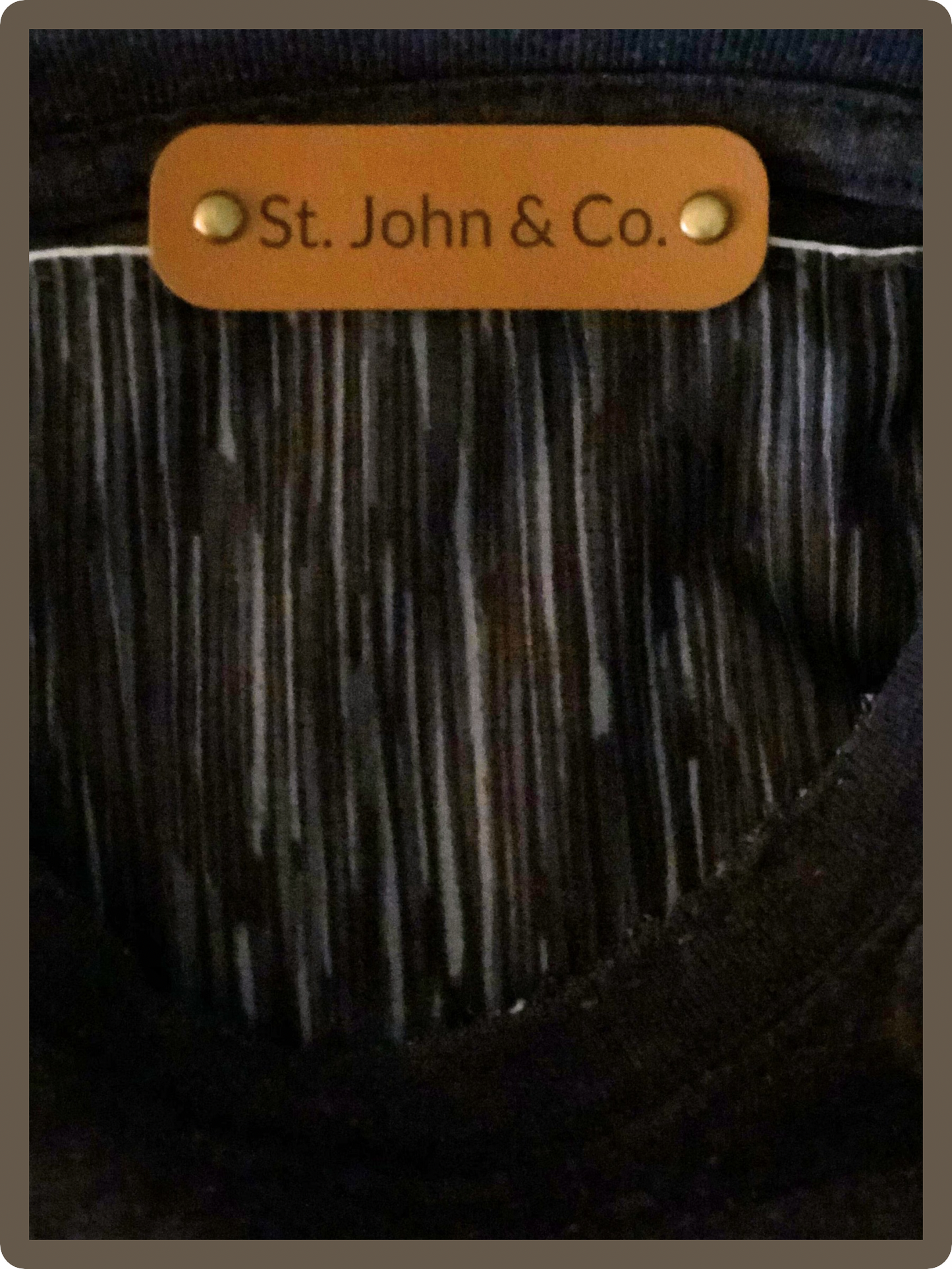 🐾 PUMA in the Wild