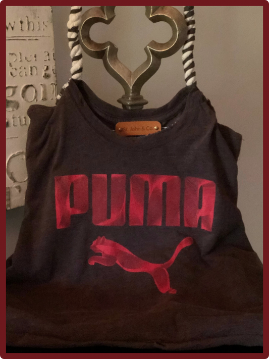 🐾 PUMA in the Wild