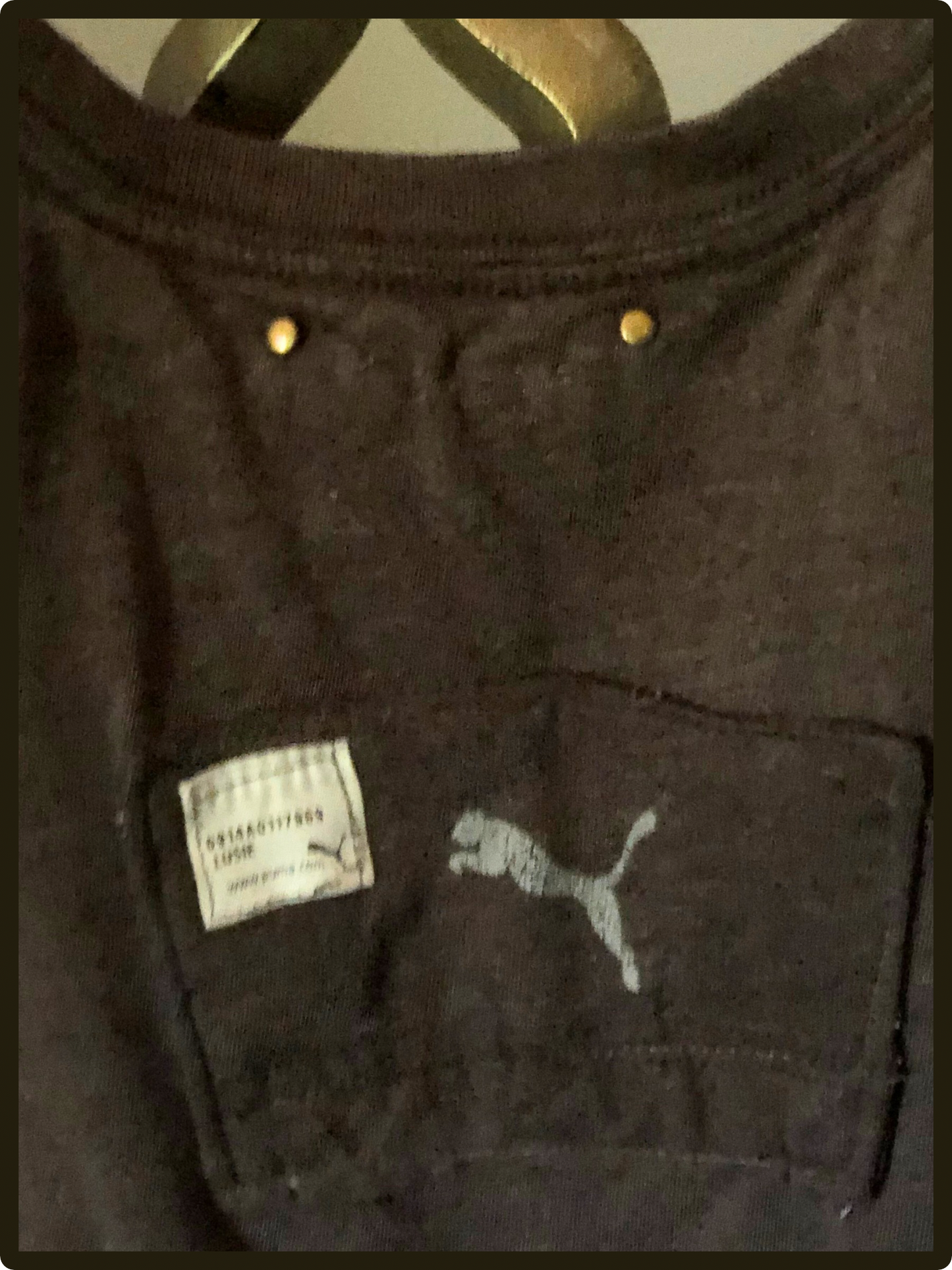 🐾 PUMA in the Wild