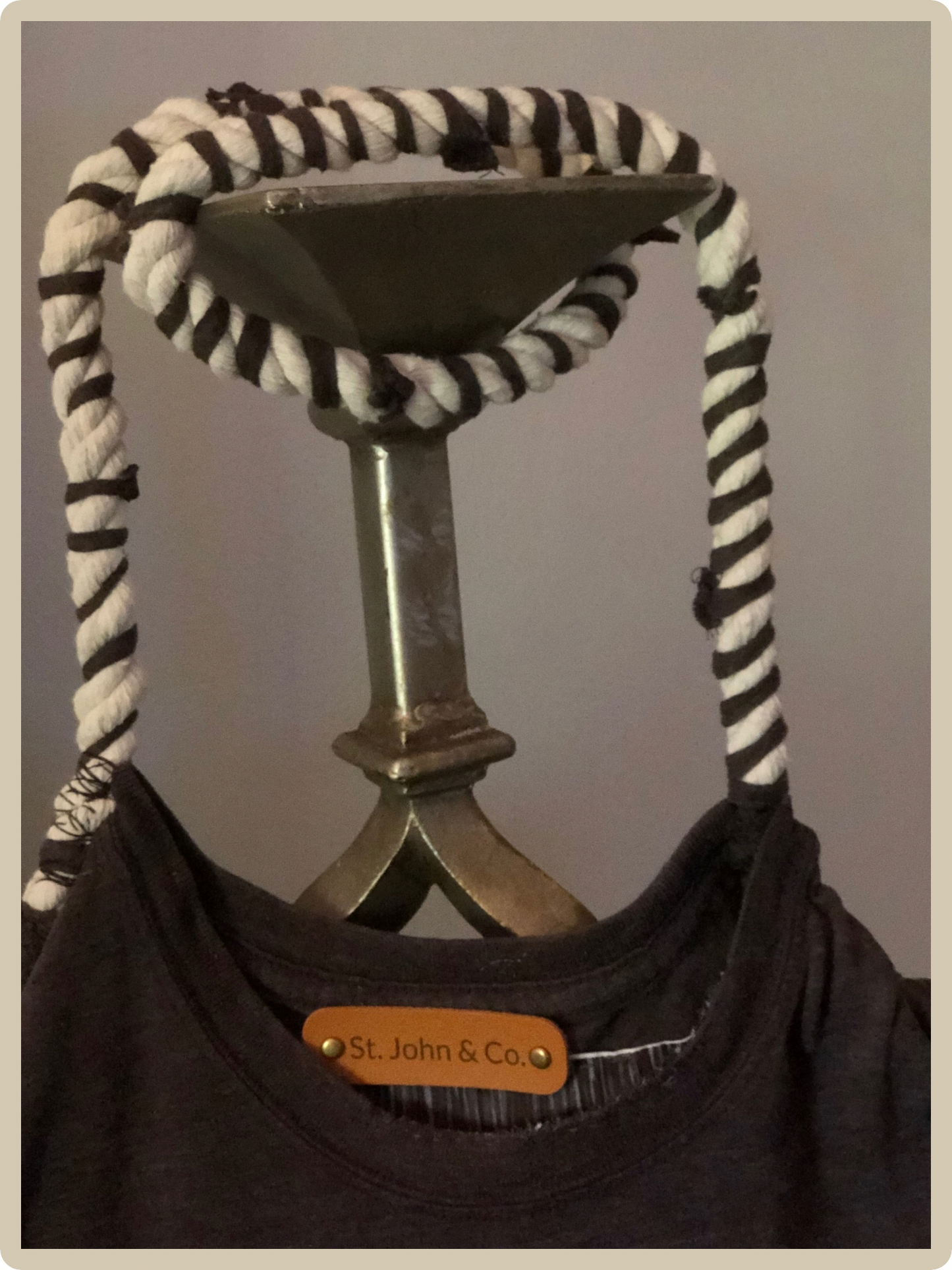 🐾 PUMA in the Wild