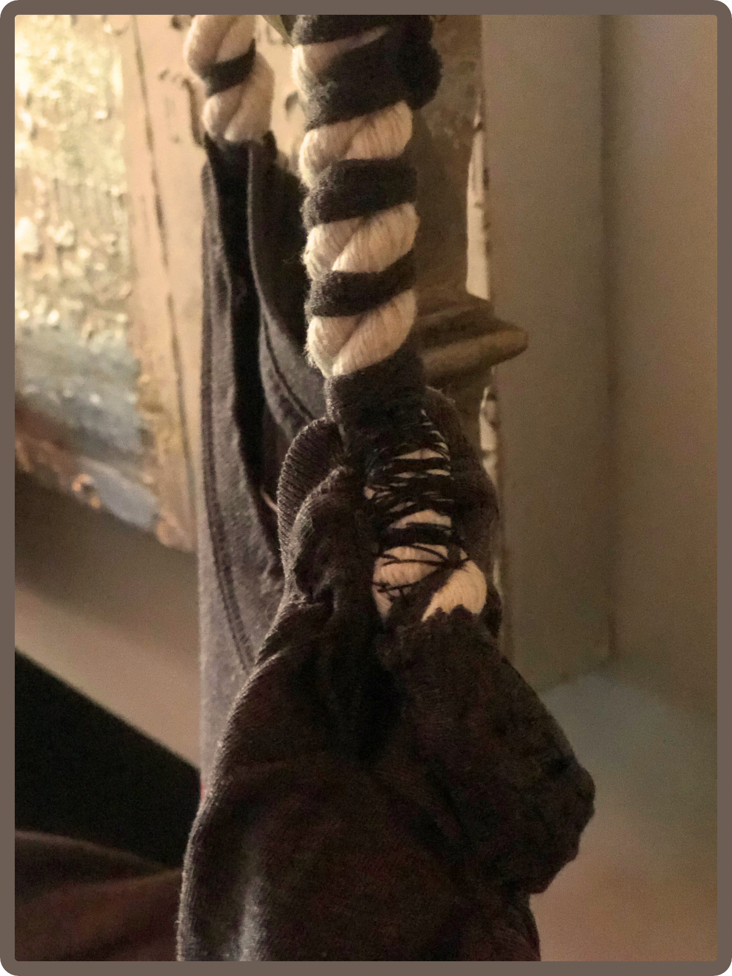 🐾 PUMA in the Wild