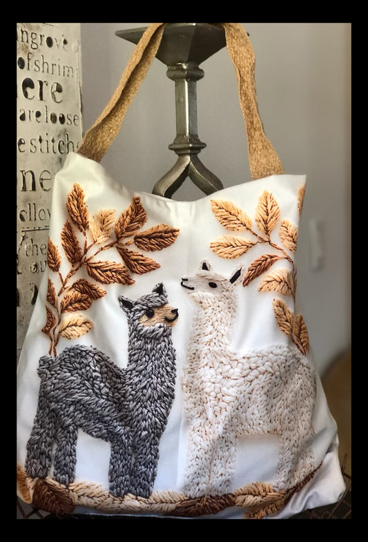 Llamas in Two  🦙🦙